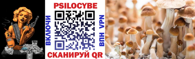 Галлюциногенные грибы Psilocybe Бодайбо